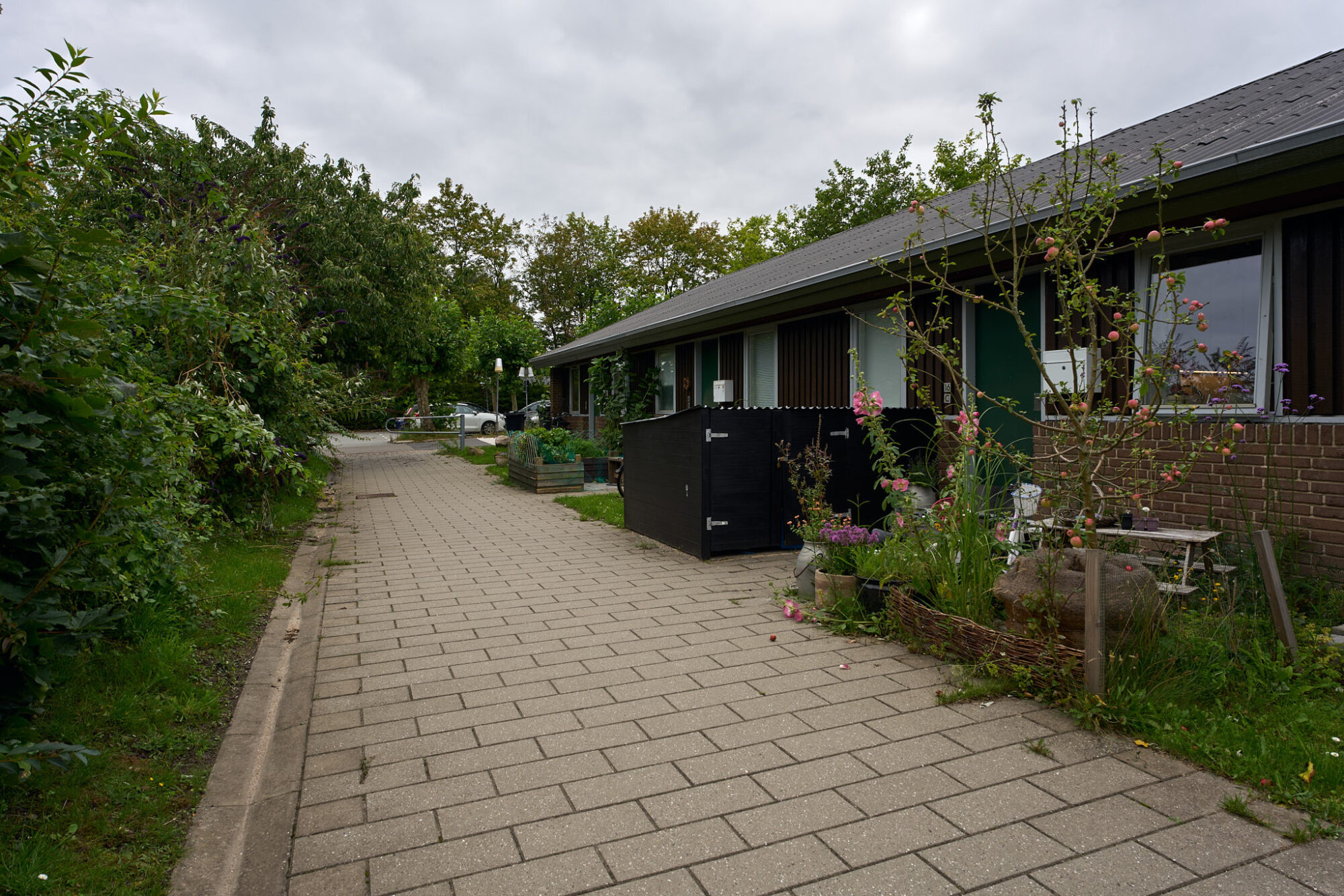 Oplev livet på Trørød Kollegie, hvor par og roomies skaber minder i deres hyggelige studieboliger. Billedet viser en charmerende indkørsel til kollegiet, omgivet af frodig natur og hyggelige haver, der danner rammerne om det fælles studiemiljø. Perfekt for dem, der søger en bolig med en stærk fællesskabsånd og nærhed til naturen.